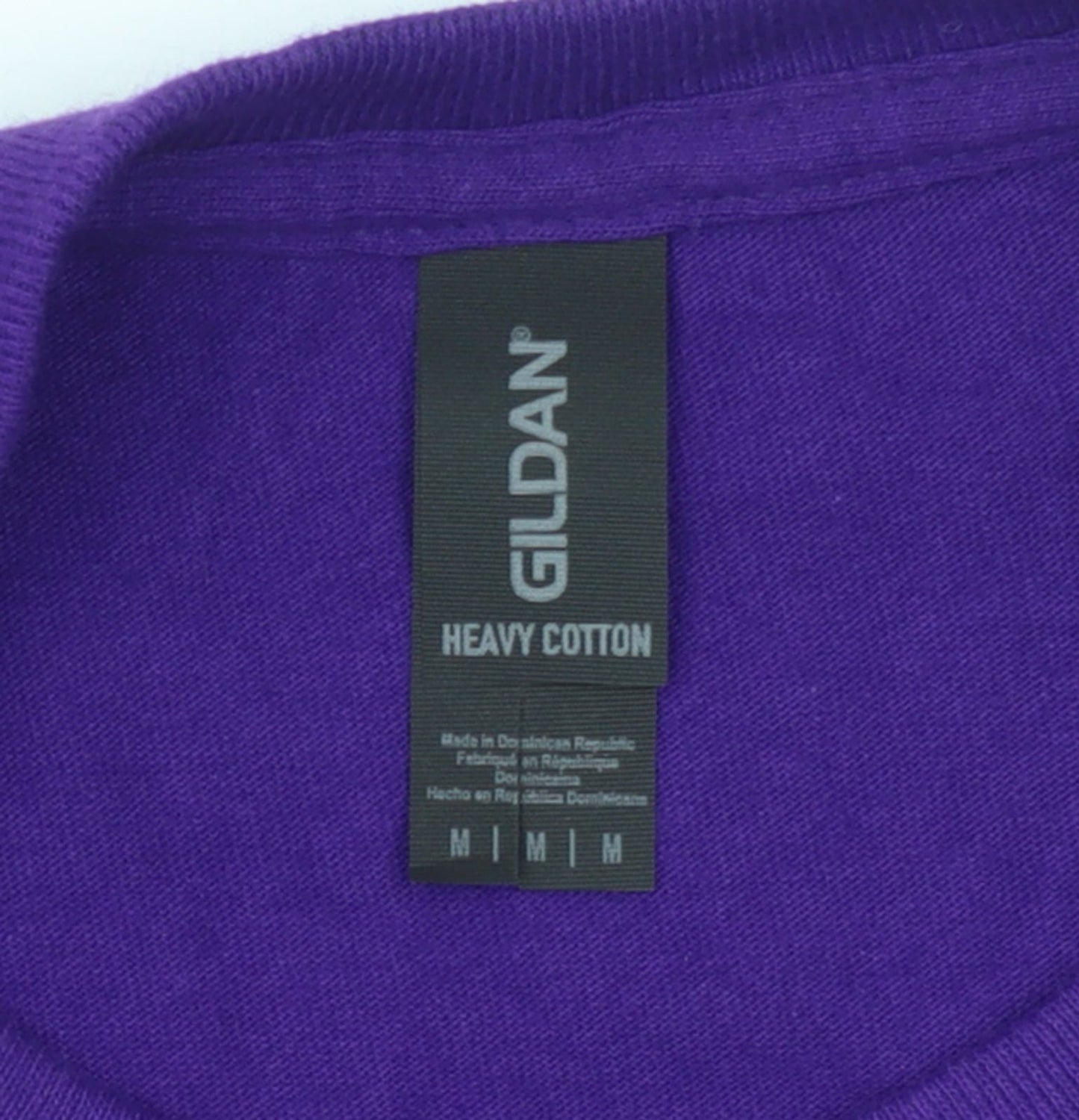 Gildan Men's Purple Heavy Cotton My Motorhome Graphic T-Shirt Size M