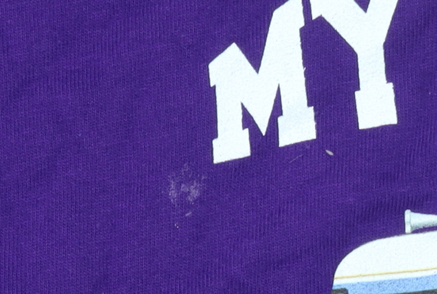 Gildan Men's Purple Heavy Cotton My Motorhome Graphic T-Shirt Size M