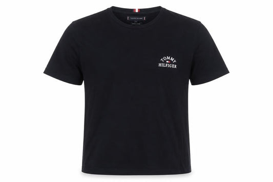 Tommy Hilfiger Men's Blue XL Organic Cotton Crew Neck T-Shirt