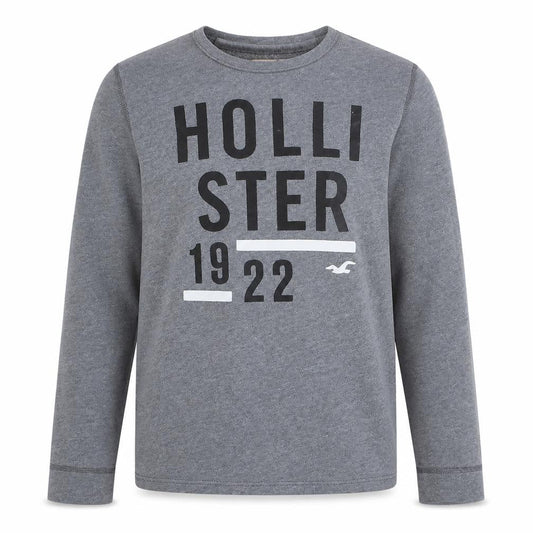 Hollister Men's Grey Logo Pullover Sweatshirt M Crew Neck Graphic Print