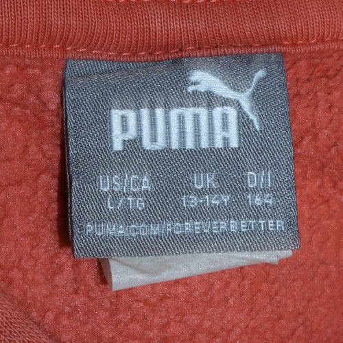 Puma Boys Multicoloured 13-14 Years Pullover Hoodie with Logo