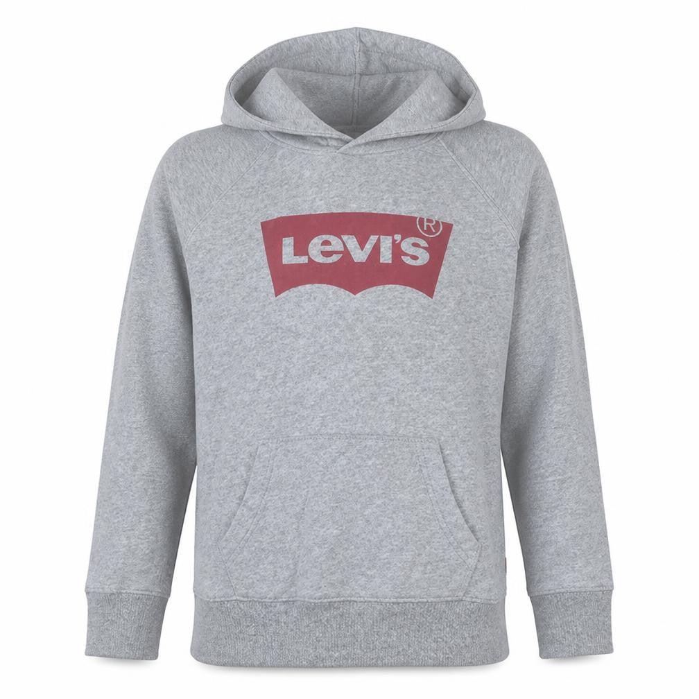 Levi's Mens Grey Hoodie Small Pullover Graphic Logo Sweatshirt