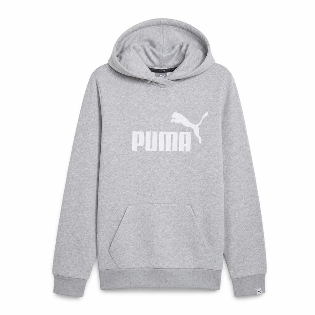 Puma Mens Grey Pullover Hoodie Size M Regular Fit Graphic Logo