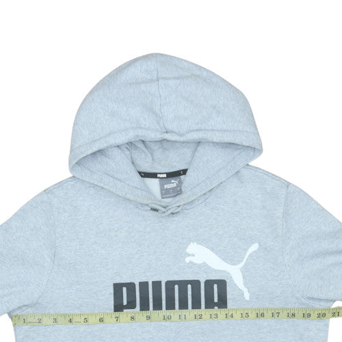 Puma Men's Grey Pullover Hoodie Small Regular Fit Sports Fleece
