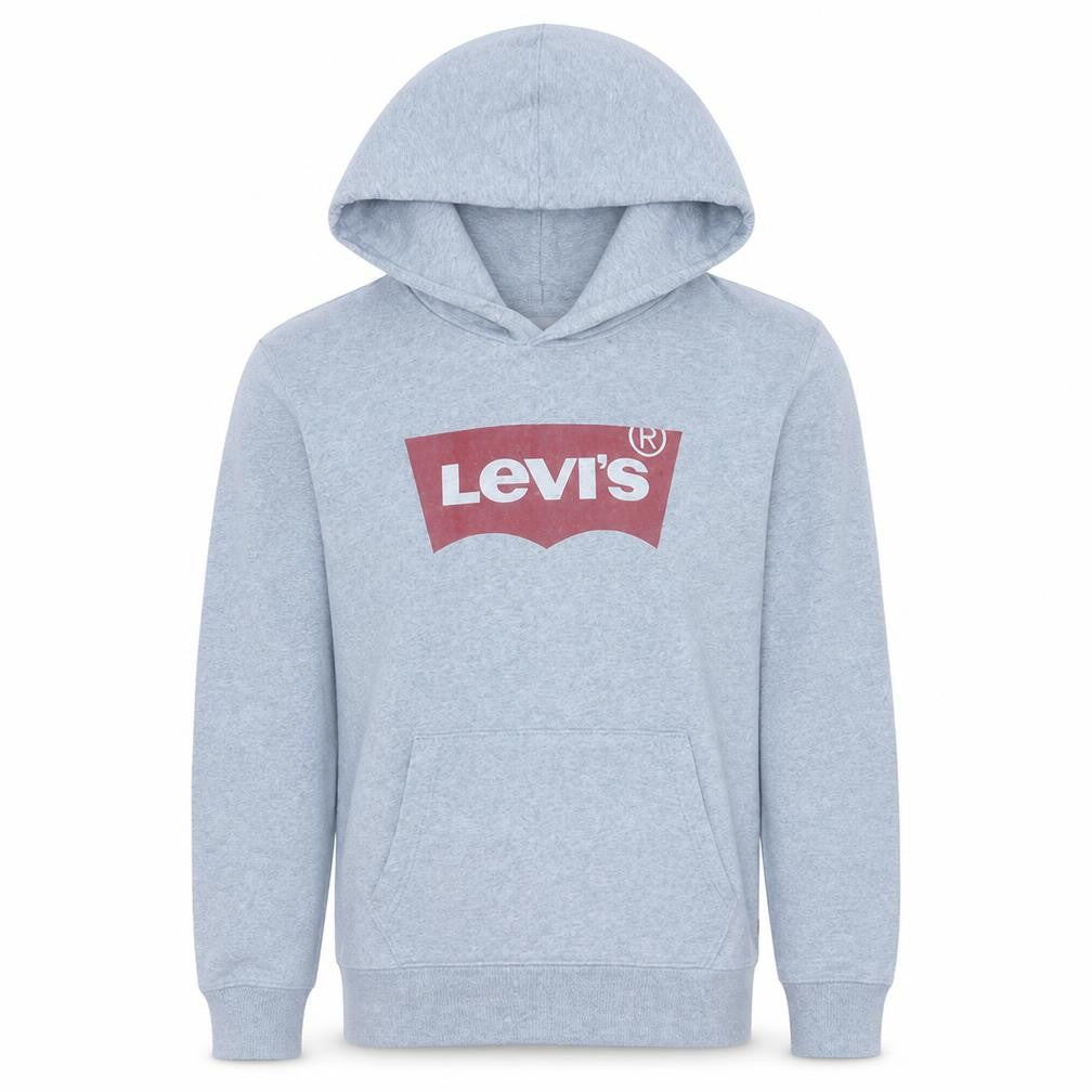 Levi's Mens Grey Small Pullover Hoodie with Logo