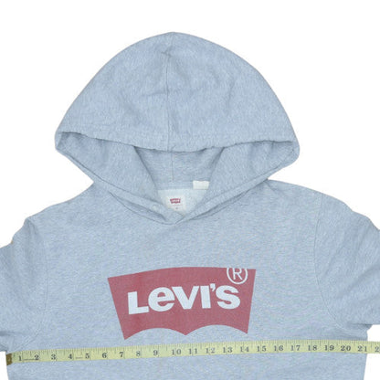 Levi's Mens Grey Small Pullover Hoodie with Logo