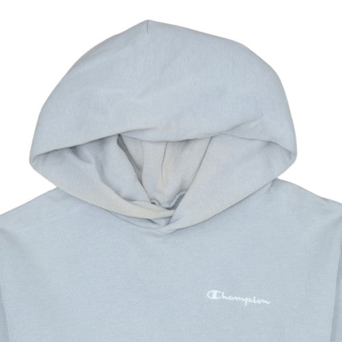 Champion Men's Grey Pullover Hoodie Small Regular Fit
