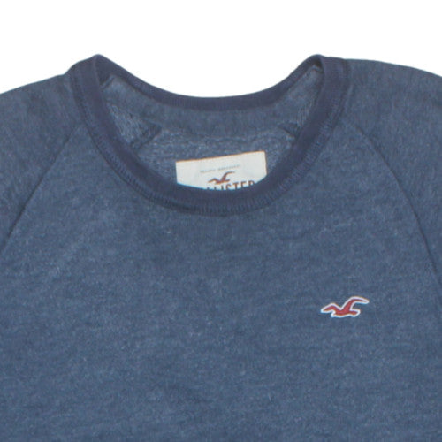 Hollister Men Blue Crew Neck Pullover Sweatshirt L Cotton Blend