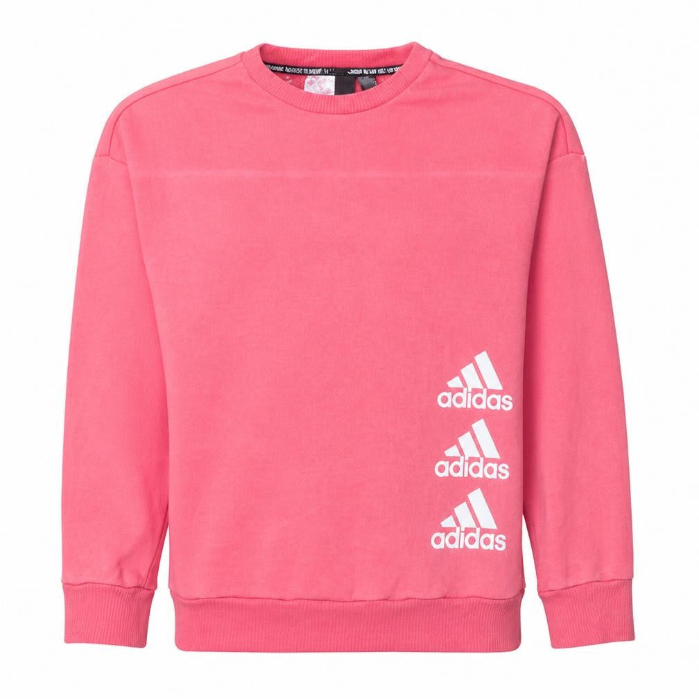 adidas Girls Pink Graphic Logo Pullover Sweatshirt – 14 Years