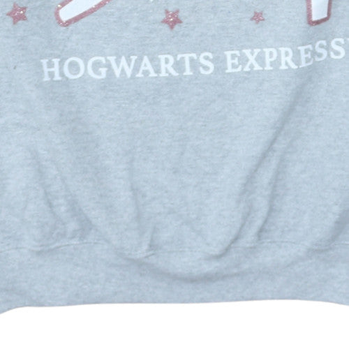 Harry Potter Platform 9¾ Grey Sweatshirt Women's L 16-18 Pullover