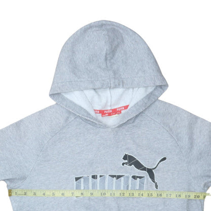 Back view of Puma men’s grey pullover hoodie, size S, graphic fleece sweatshirt