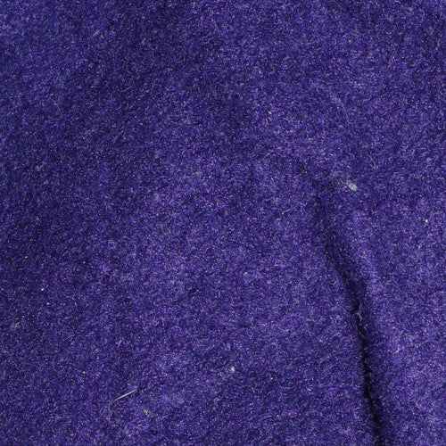 Champion Men's Blue SFSU Pullover Hoodie Medium Fleece Sweatshirt