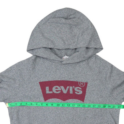 Levi's Men's Grey Pullover Hoodie Small Logo Graphic Print