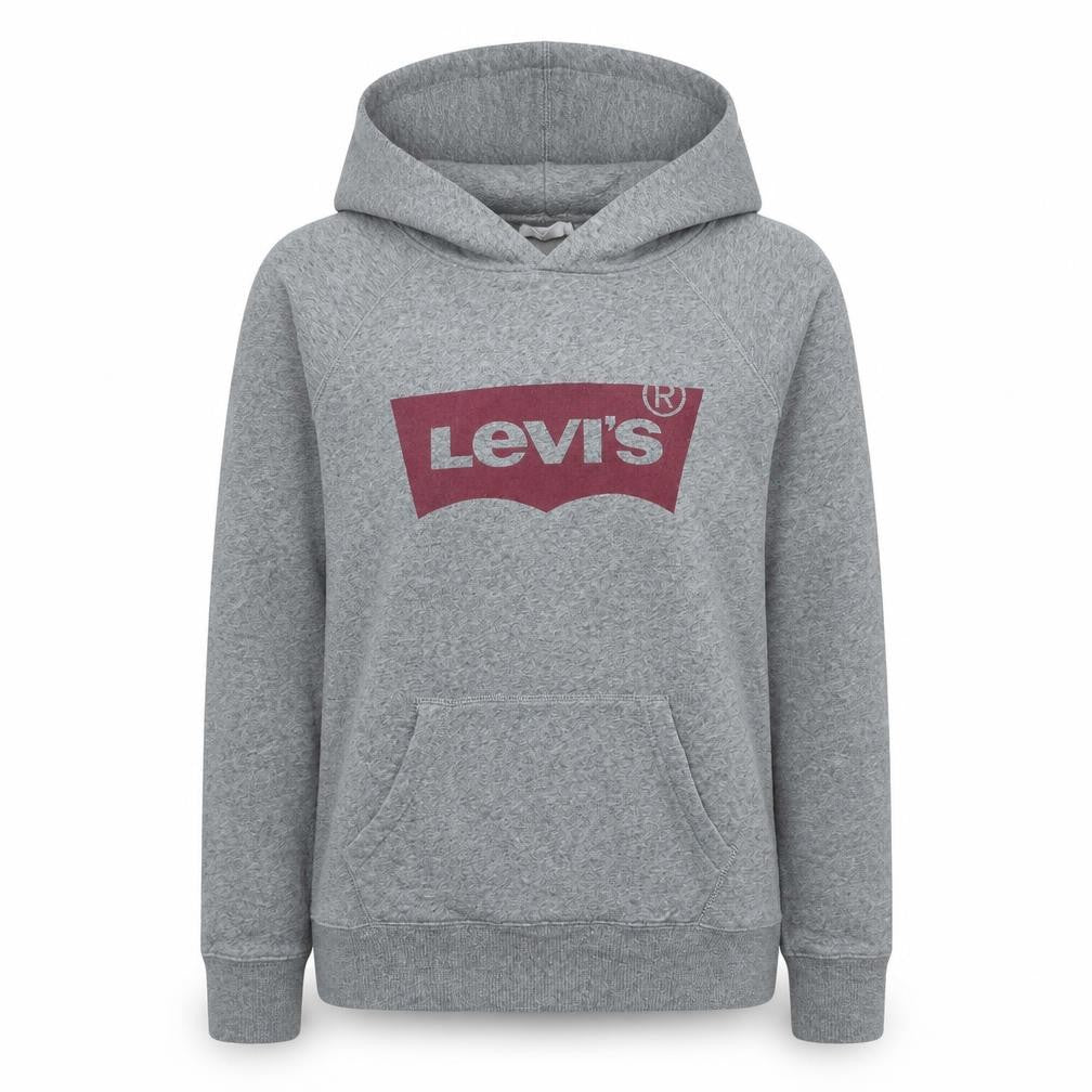 Levi's Women's Grey XS Pullover Hoodie with Logo Graphic Print