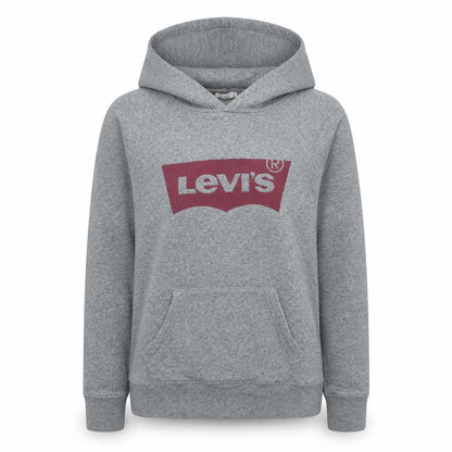 Levi's Women's Grey XS Pullover Hoodie with Logo Graphic Print