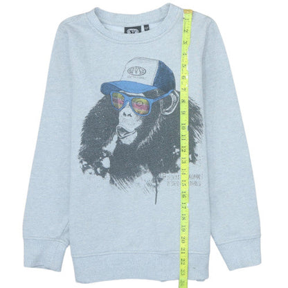 Close-up detail of Animal boys’ grey graphic print pullover sweatshirt 13-14 years