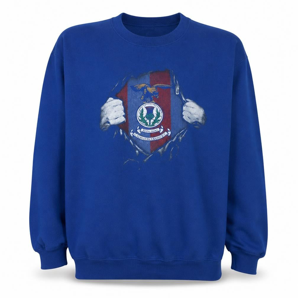 Gildan Men's Blue Graphic Crew Neck Pullover Sweatshirt L Heavy Blend