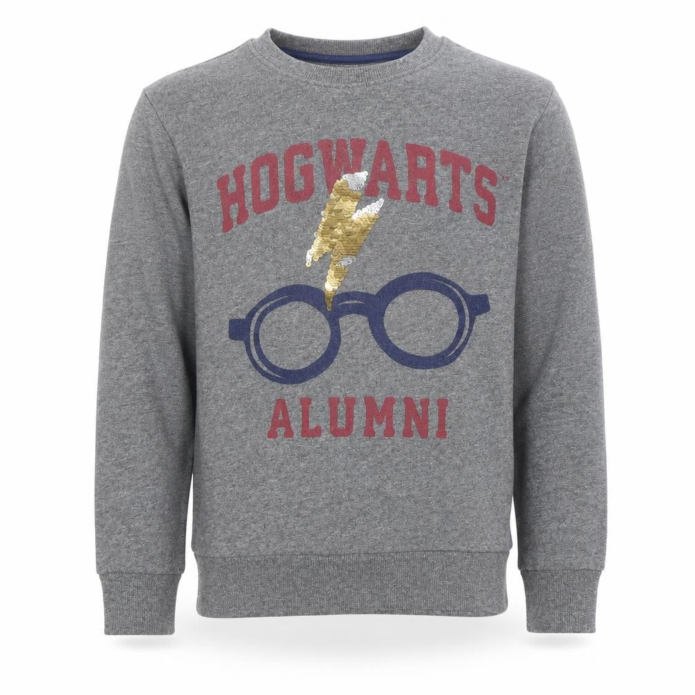 Harry Potter Boys Grey Hogwarts Alumni Sequin Sweatshirt 9-10 Years