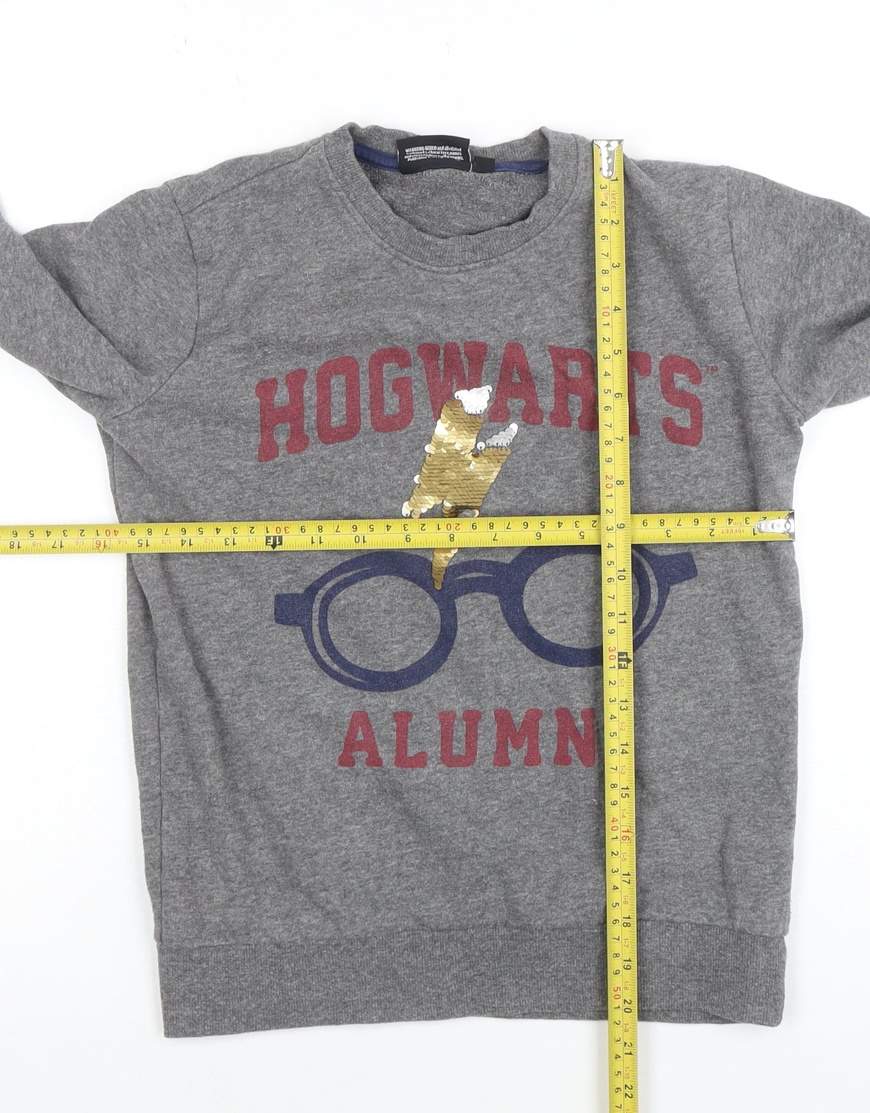 Harry Potter Boys Grey Hogwarts Alumni Sequin Sweatshirt 9-10 Years