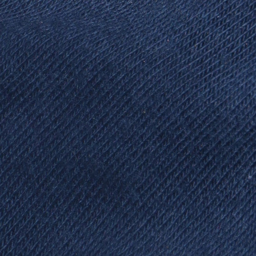 Champion Men's Blue Small Pullover Fleece Hoodie