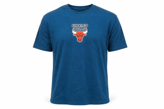 Alundance Basics Men Blue Chicago Bulls Graphic T-Shirt L Regular Fit