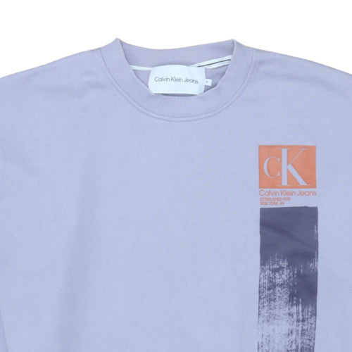 Calvin Klein Jeans Mens Purple Graphic Crew Neck Sweatshirt M