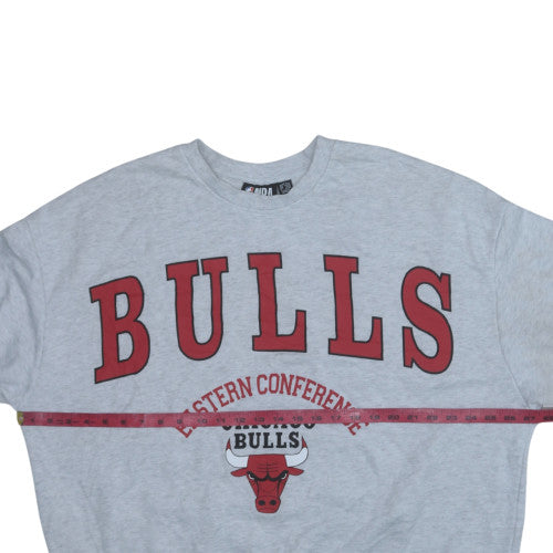NBA Chicago Bulls Men's Grey Sweatshirt Large Crew Neck Pullover
