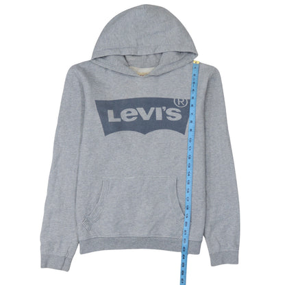 Back view of Levi's boys’ grey hooded pullover sweatshirt, size 16, regular fit