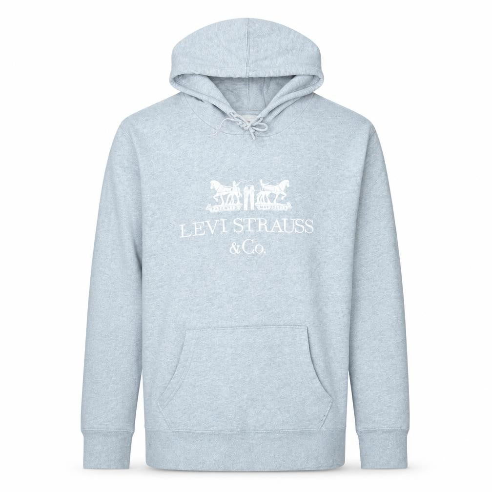 Levi's Men's Grey Pullover Hoodie Small Logo Fleece Sweatshirt