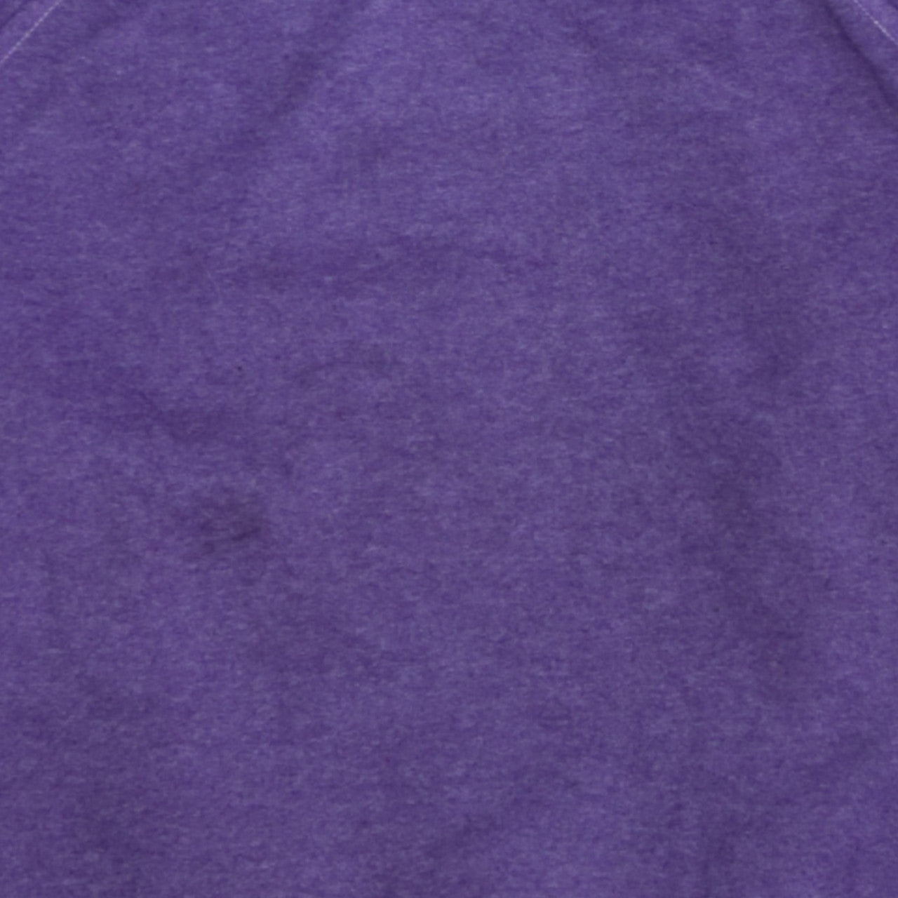 Champion Women's Purple Crew Neck Pullover Sweatshirt Size S