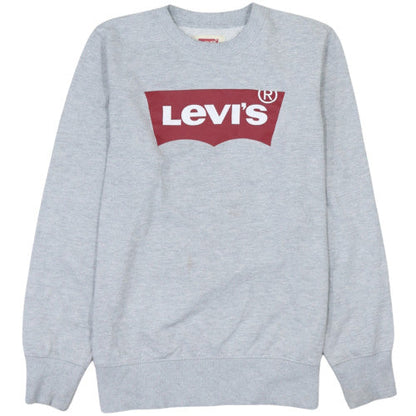 Additional front view of Levi's boys’ grey sweatshirt 16 years crew neck logo pullover