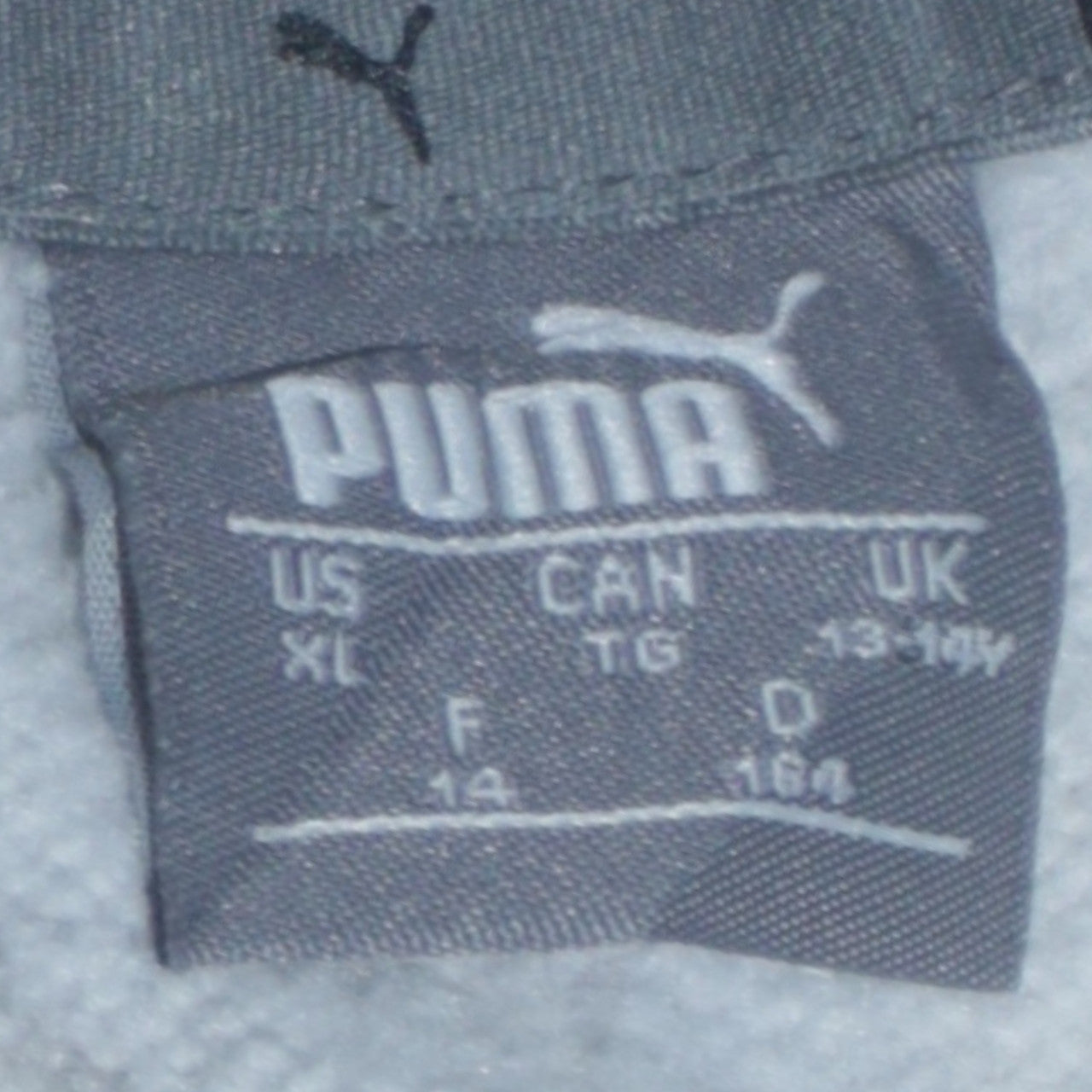 Puma Boys Grey Hoodie Size 13-14 Years Pullover Fleece Sweatshirt