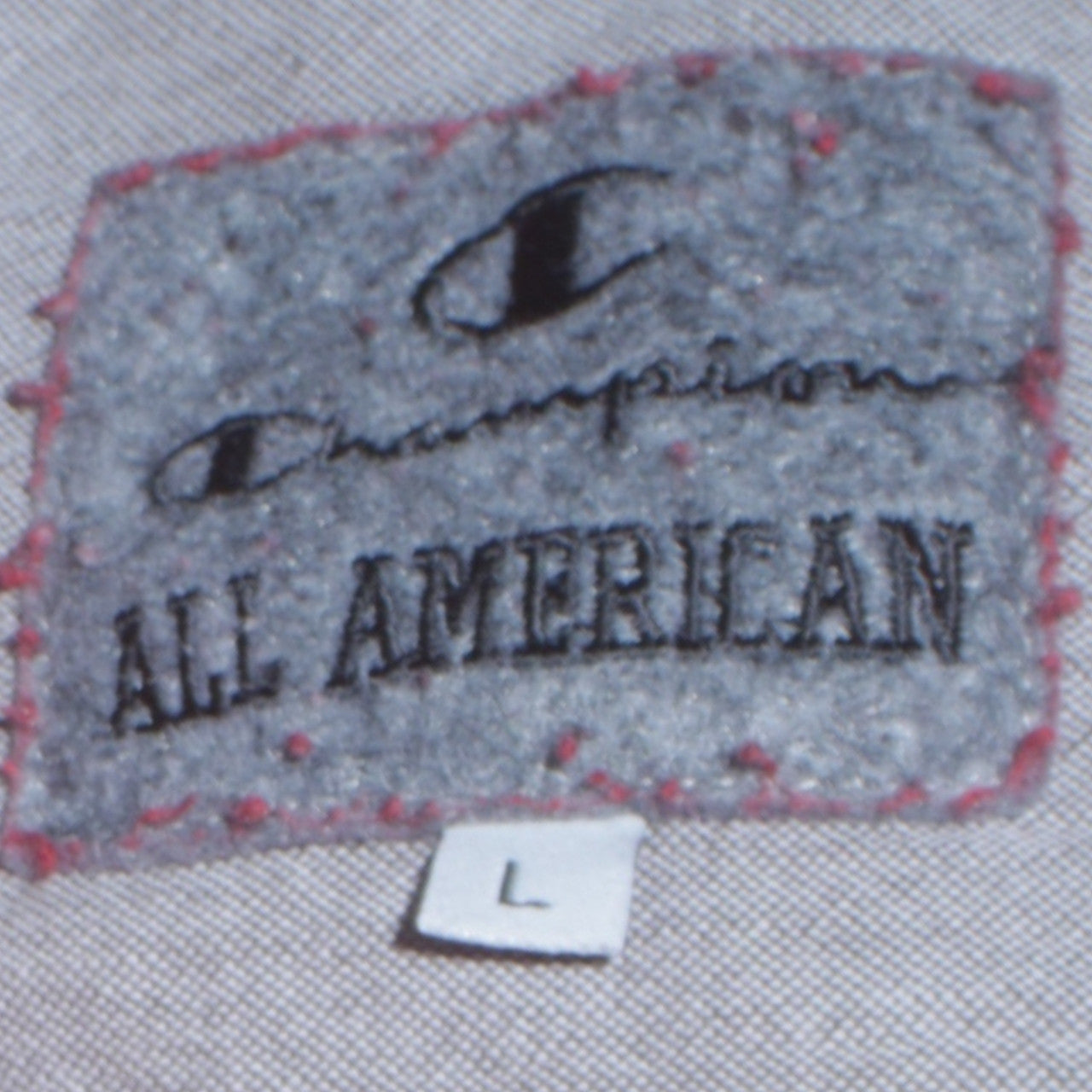 Champion Men's Red Pullover Hoodie L Logo Sports Fleece