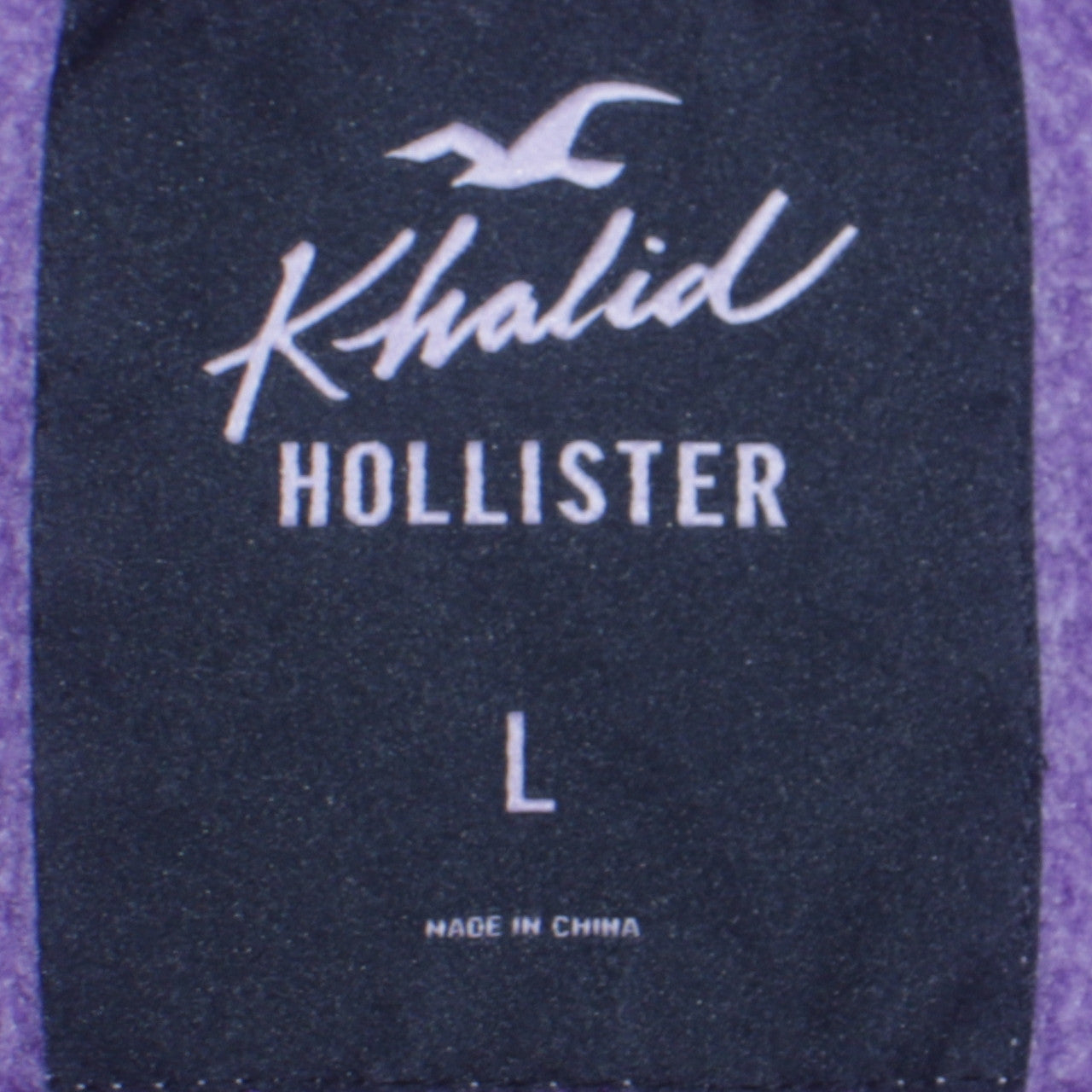 Hollister Men’s Purple Pullover Hoodie L 1999 Logo Fleece Sweatshirt