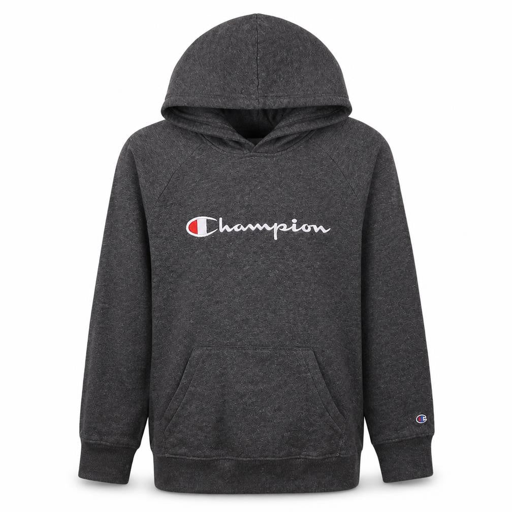 Champion Boys Grey XL Pullover Hoodie Fleece Sweatshirt with Logo