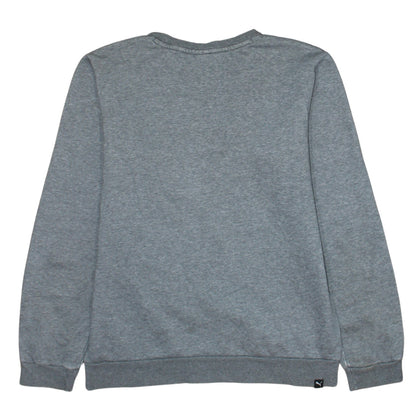 Brand and care label for Puma boys’ grey crew neck pullover sweatshirt 15-16 years logo print