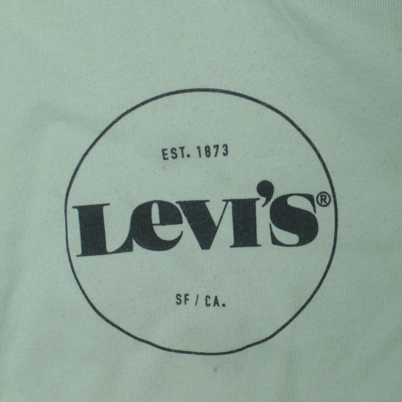 Levi's Men's Mint Green Relaxed Fit Cotton Crew Neck T-Shirt Size L