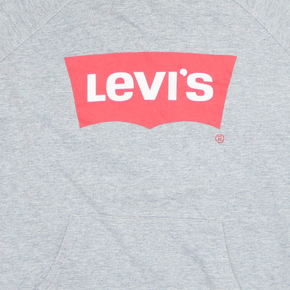 Brand and care label for Levi's boys’ grey pullover logo hoodie, size 16, years regular fit