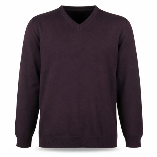 Next Men’s Purple Cotton V-Neck Jumper Size L
