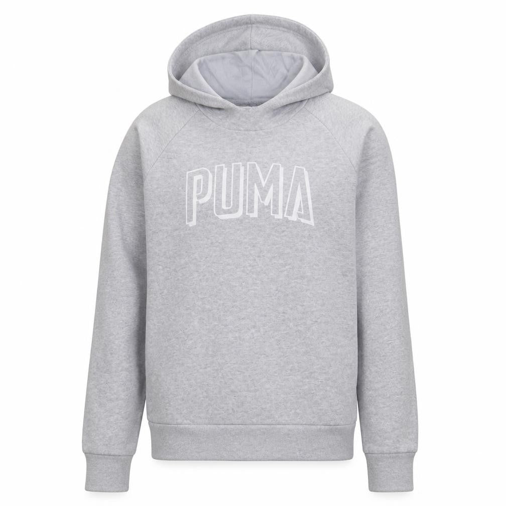 Puma Men's Grey Pullover Hoodie Size S Regular Fit Sportswear