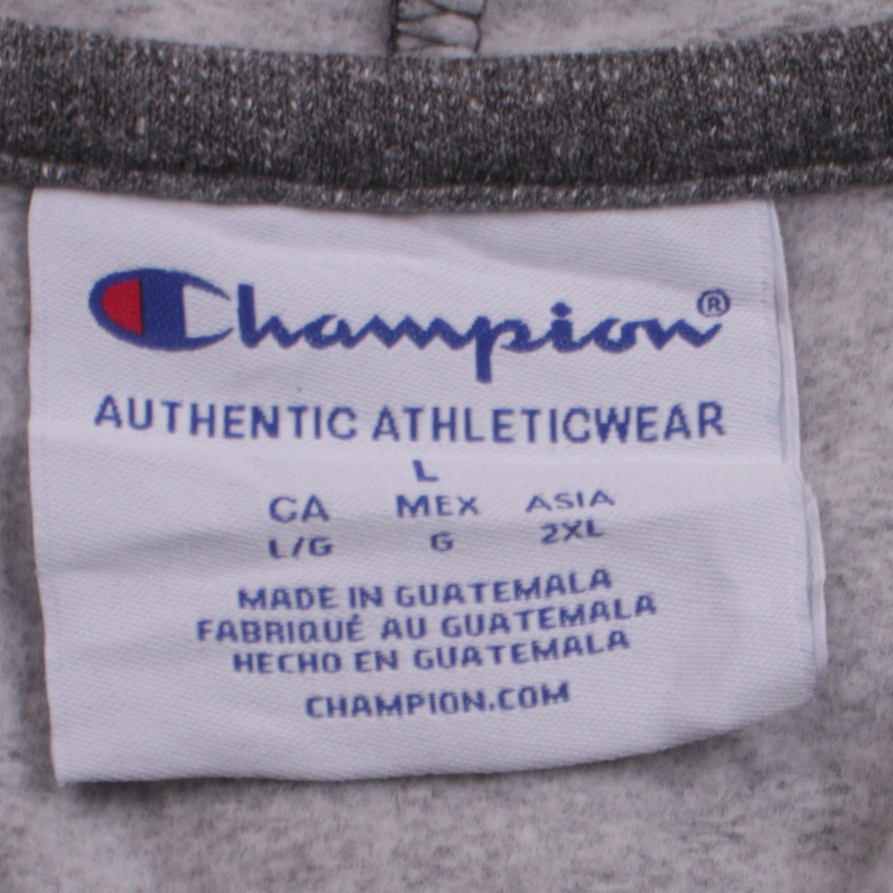 Champion Mens Grey Pullover Hoodie L Cazenovia College Fleece