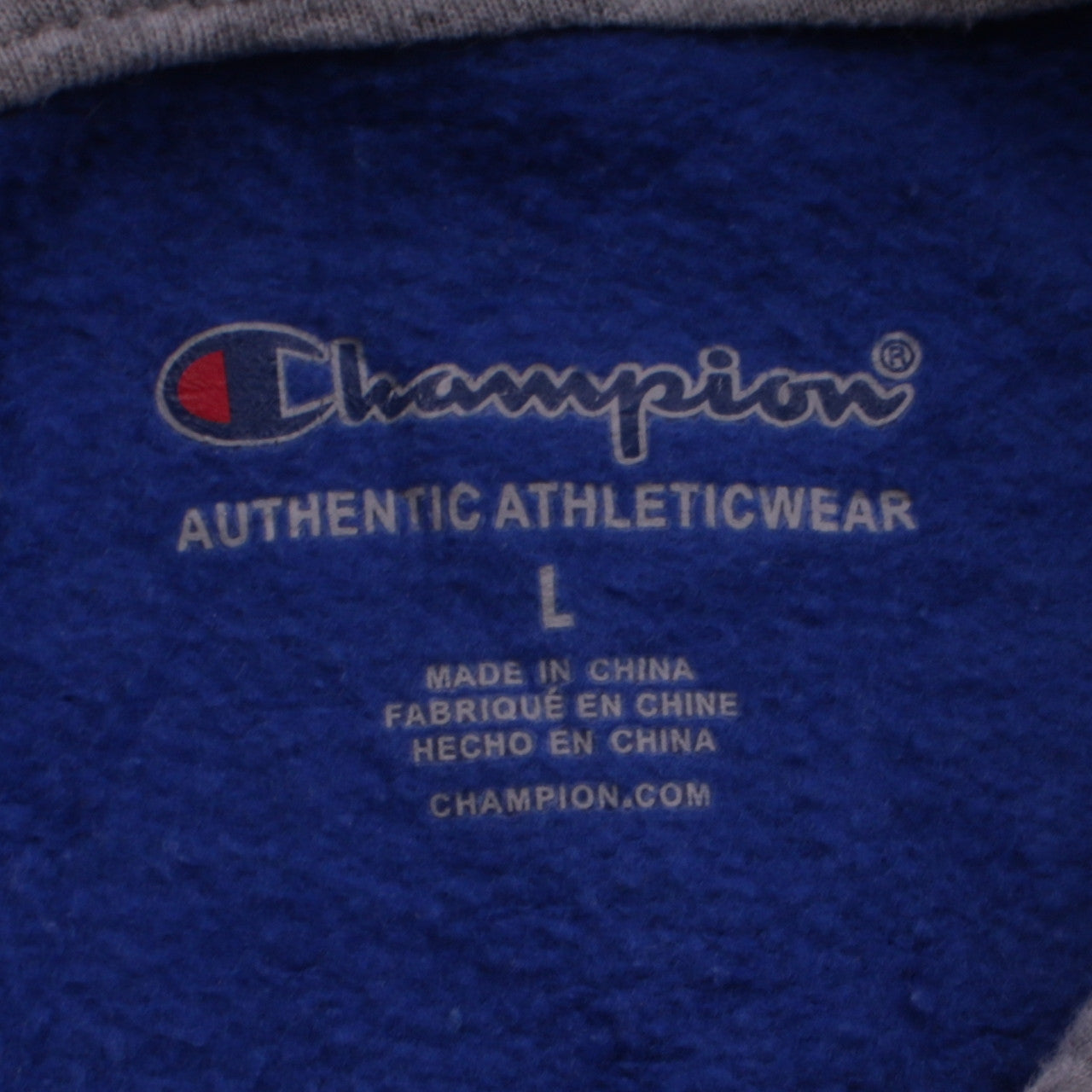 Champion Boys Blue L Pullover Hoodie Sweatshirt with Logo