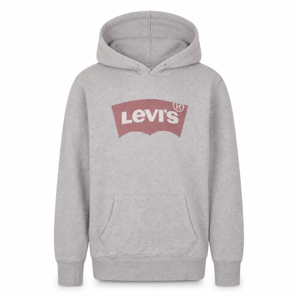 Levi's Men's Grey XS Pullover Hoodie Logo Graphic Sweatshirt