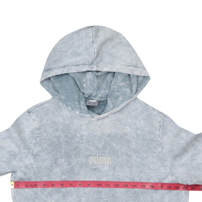 Back view of Puma Men's Grey Pullover Hoodie, size S, Regular Fit Sportswear