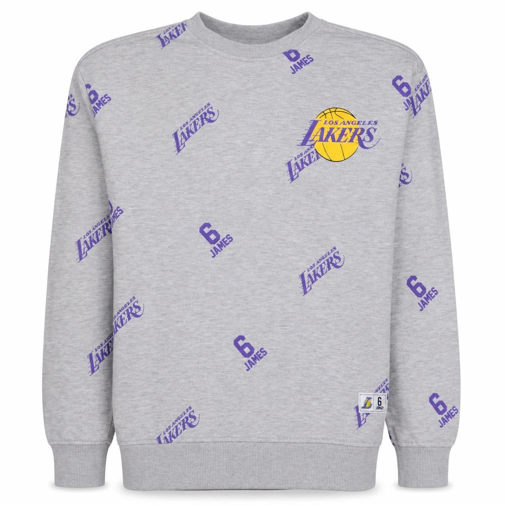 NBA Los Angeles Lakers Men's Grey Graphic Pullover Sweatshirt M