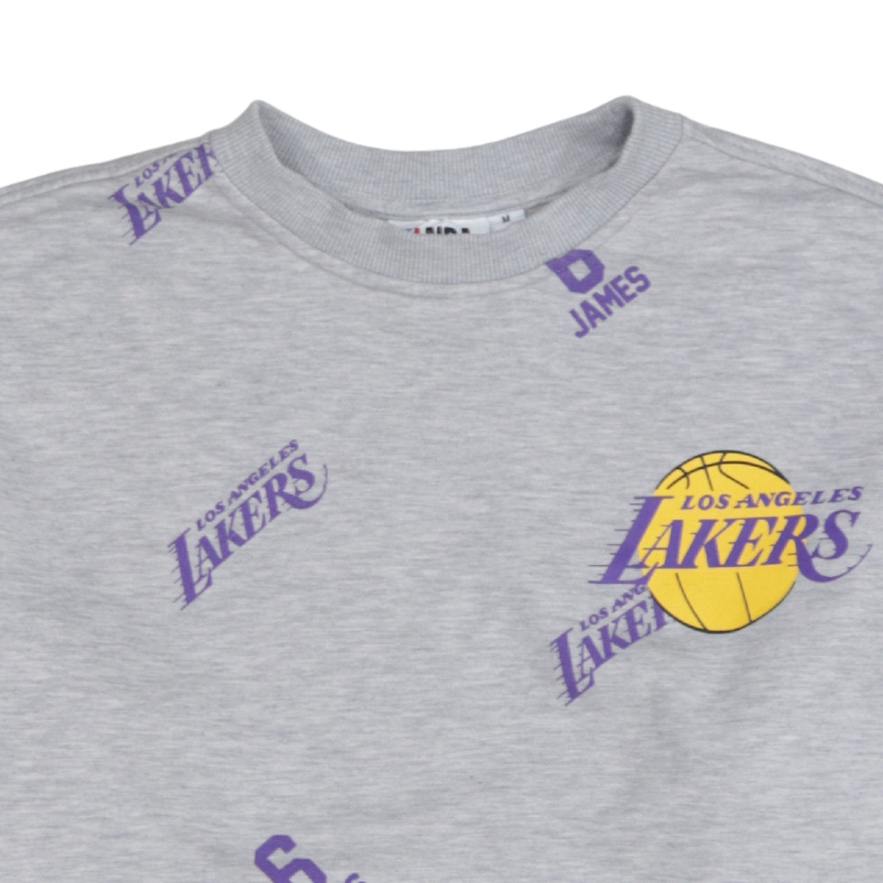 NBA Los Angeles Lakers Men's Grey Graphic Pullover Sweatshirt M