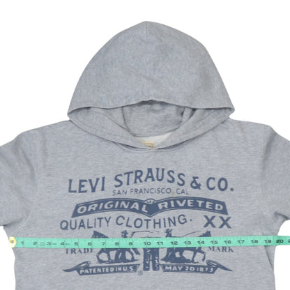 Back view of Levi's boys’ grey hoodie pullover 16 years cotton graphic print