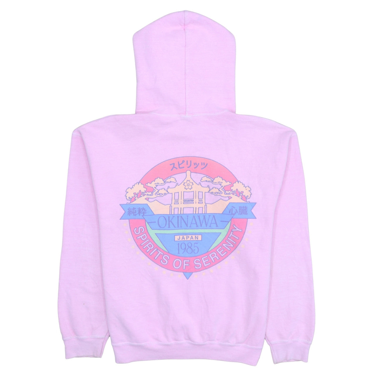 Urban Outfitters Womens Pink XS Pullover Hoodie Okinawa Graphic