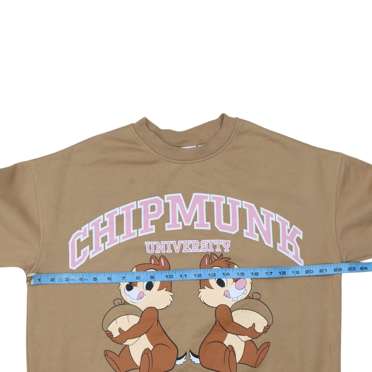 Disney Chipmunk University Brown Sweatshirt Women M Graphic Pullover