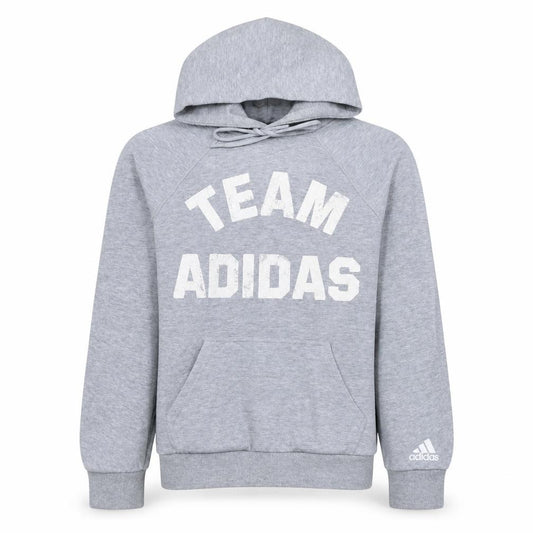 Adidas Men’s Grey Pullover Hoodie Small Team Logo Sportswear